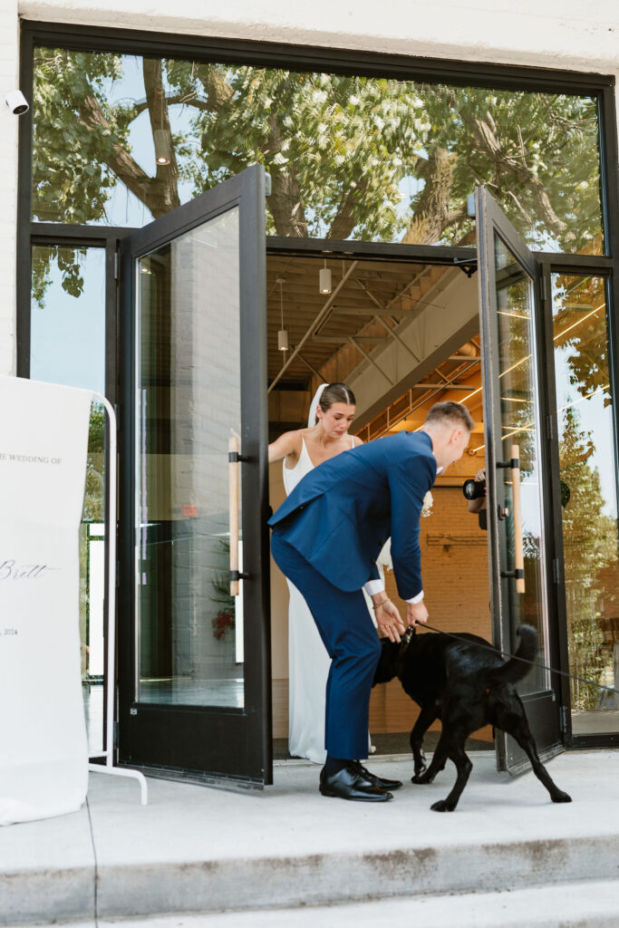 Documentary style photos as groom surprises bride with their dog