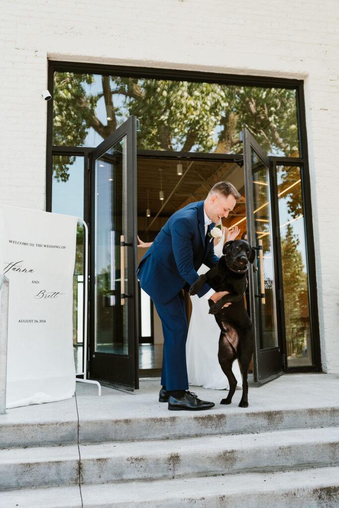 Documentary style photos as groom surprises bride with their dog