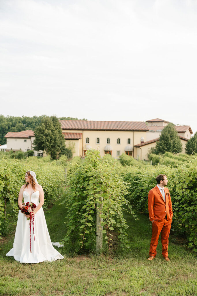 Vineyard bride and groom photos