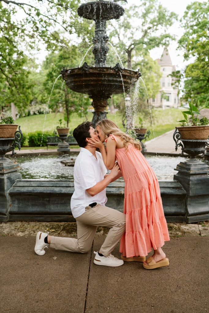 Minneapolis proposal at Irvine Park 