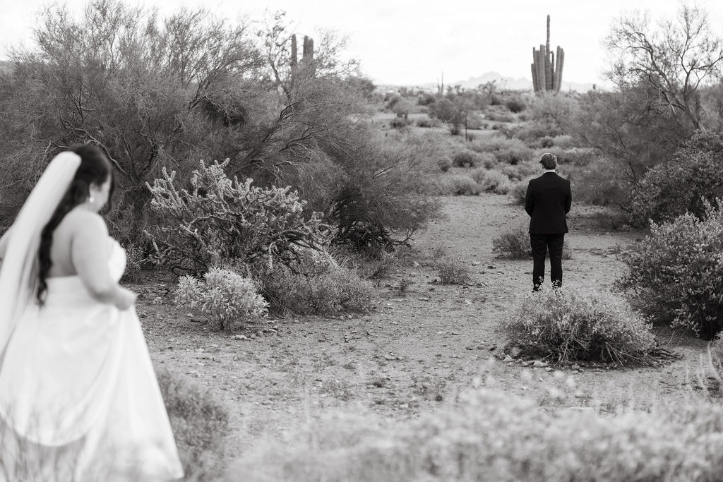 Phoenix, Arizona bride and groom photos in the desert