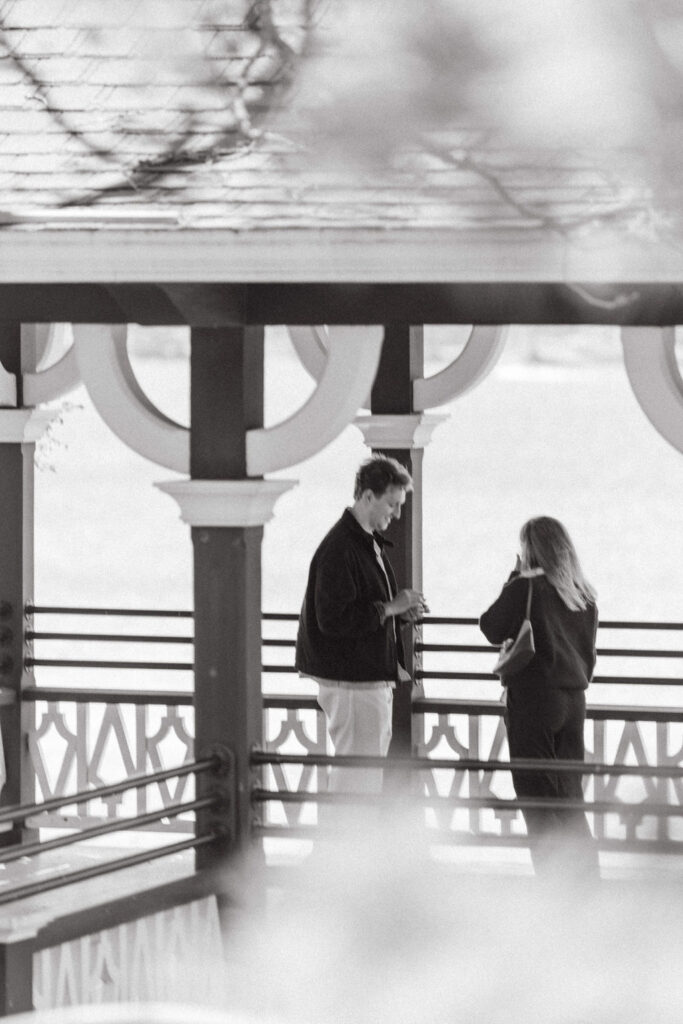 Lakeside proposal in the Twin Cities