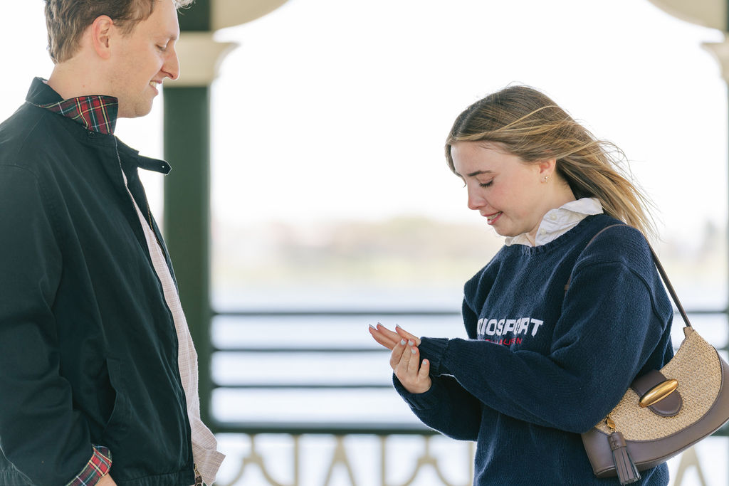 Lakeside proposal in the Twin Cities