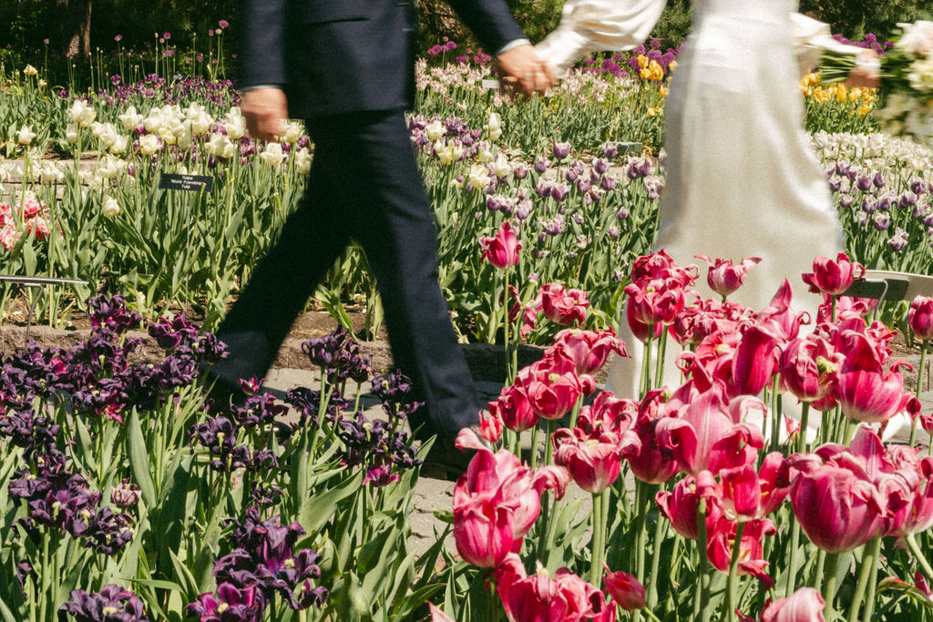 bride and groom walk through tulips at Minnesota Landscape Arboretum